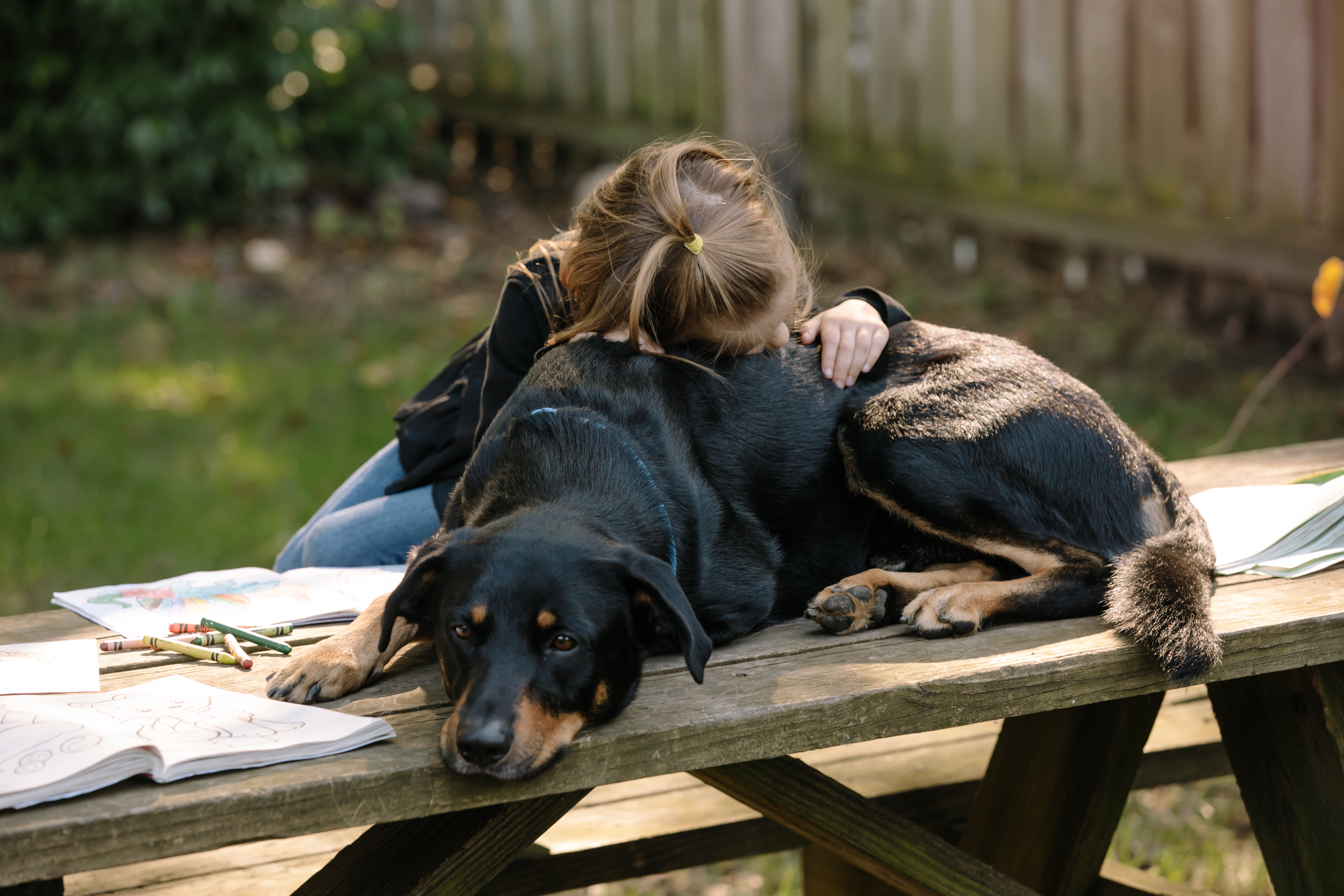 Why A Domestic Violence Shelter Accepts Pets | OhioGuidestone