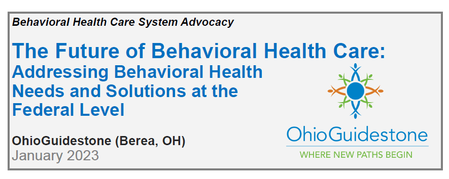 Behavioral Health Care System Advocacy. The Future of Behavioral Health Care: Addressing Behavioral Health Needs and Solutions at the Federal Level