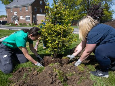 New Trees Planted At Berea Residential By Cleveland Guardians, Davey ...
